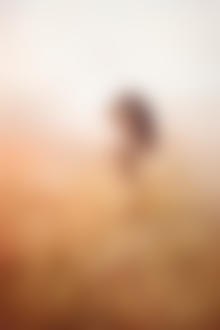 Фото Обнаженная девушка стоит среди колосьев в дымке