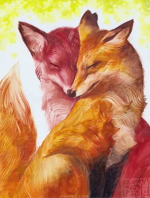 Фото Влюбленные лис и лиса, by Adams Doyle
