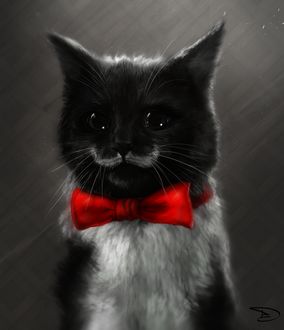 Фото Черно-белый портрет котенка с красной бабочкой, by h1fey