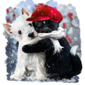 Фото Черный кот в красной кепке и белом шарфе мило обнимает белую собачку, BY KAJENNA / LORRI