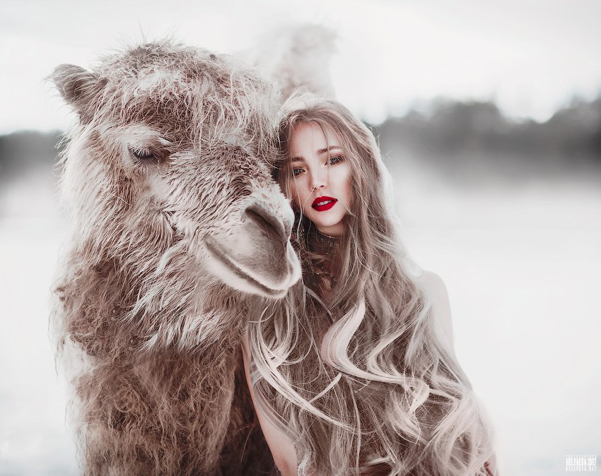 Фото Девушка стоит рядом с верблюдом, фотограф Светлана Беляева