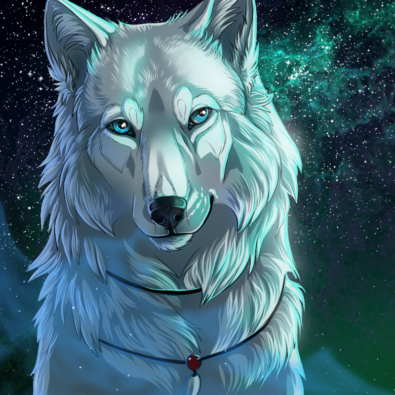Фото Белый волк на фоне ночного неба, by WolfRoad