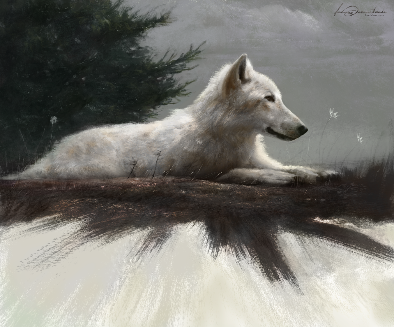 Фото Белый волк, by Ochrehand