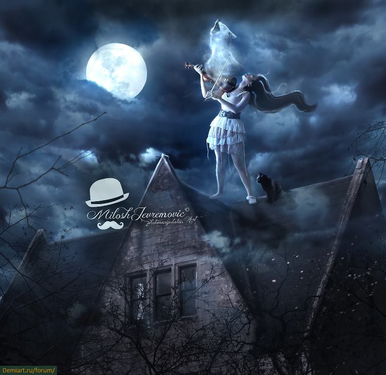 Фото Девушка стоит на крыше играя на скрипке, из которой поднимается вверх душа  волка, рядом сидит черный кот на фоне ночного неба луны и облаков, by Milos  Jevremovic