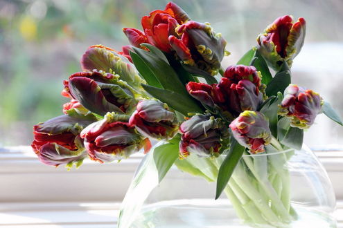 Фото Красивые тюльпаны в вазе