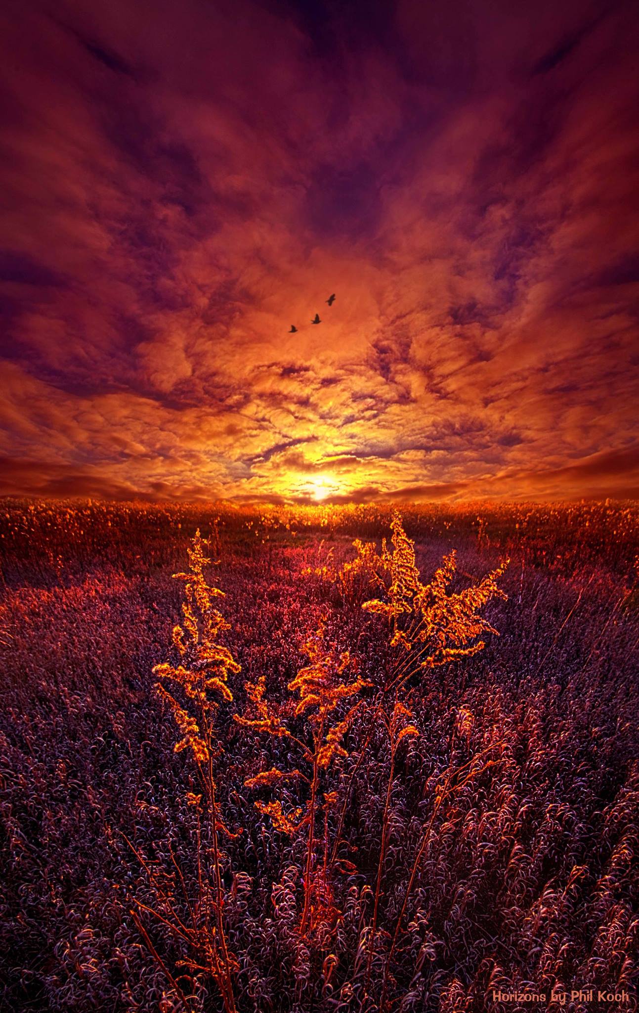 Фото Яркий закат над полем, by Phil Koch
