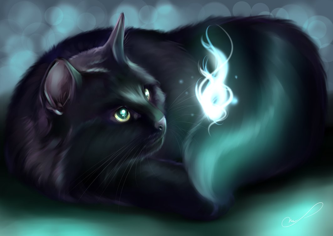 Фото Черный кот смотрит на нечто светящееся, by Martith