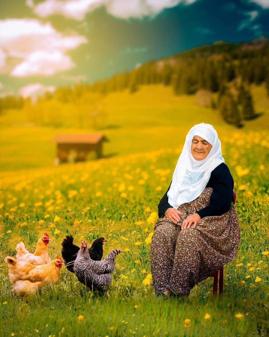 Фото На поле сидит бабушка на стуле, рядом ходят куры (город Анадолу, Турция)
