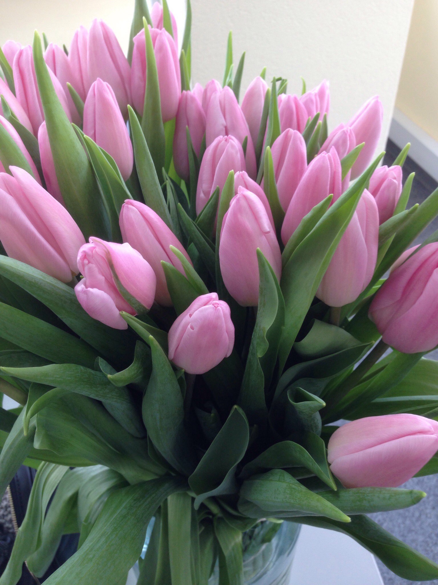 Фото тюльпанов красивые реальные. Букет тюльпанов. Розовые тюльпаны. Букеты тюльпанов реальное. Шикарный букет тюльпанов.
