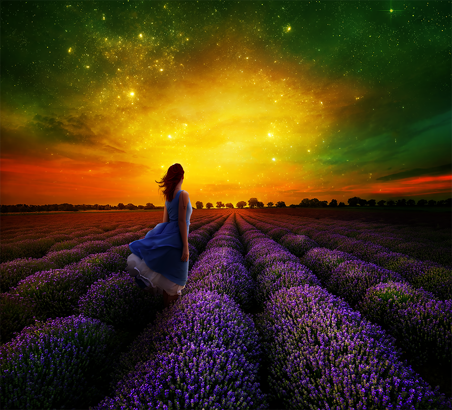 Фото Девушка среди лавандового поля смотрит на красивое небо, by KellieArt