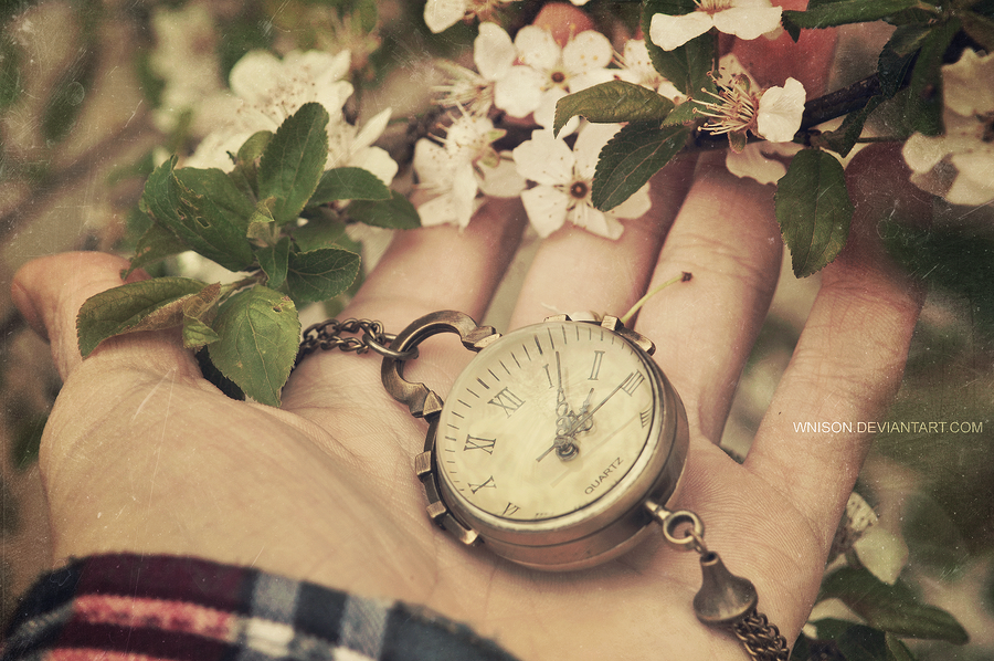 Фото На руке мужчины лежат старинные карманные часы с цепочкой рядом с цветущей веточкой, by Wnison