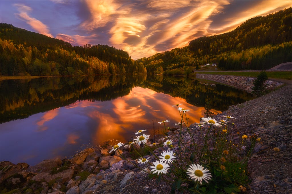 Фото Красивое небо на закате над озером, на переднем плане ромашки, фотограф Ole Henrik Skjelstad