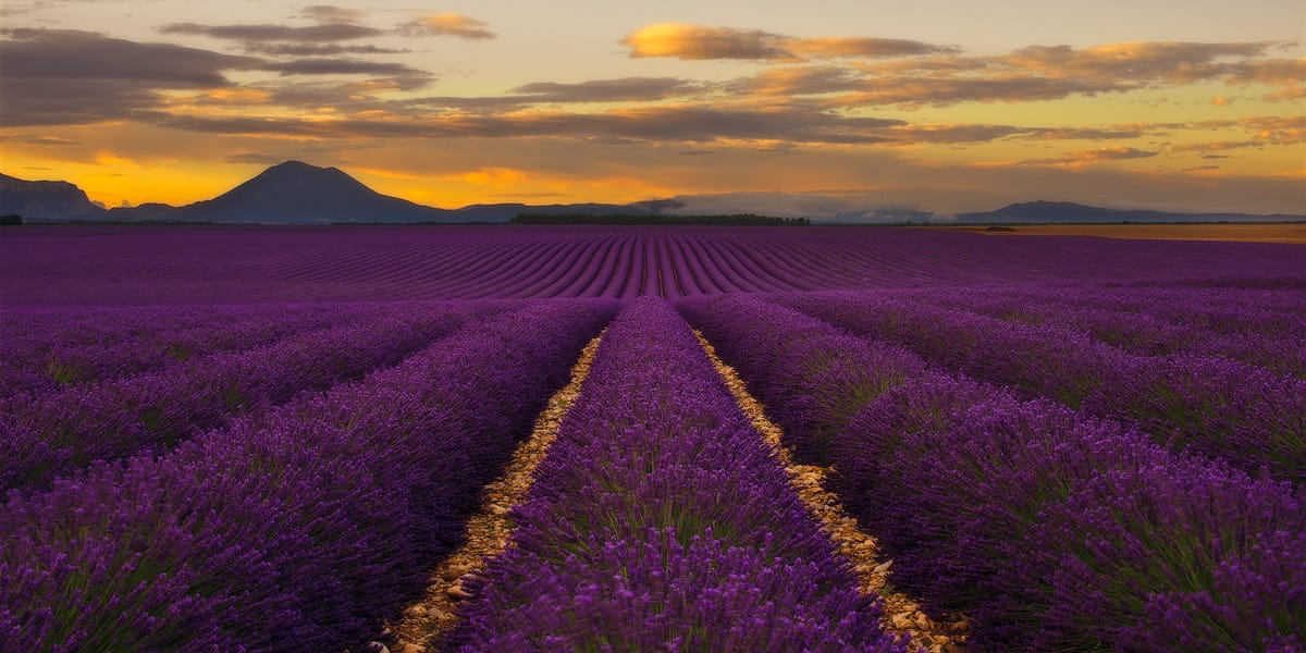 provence-france