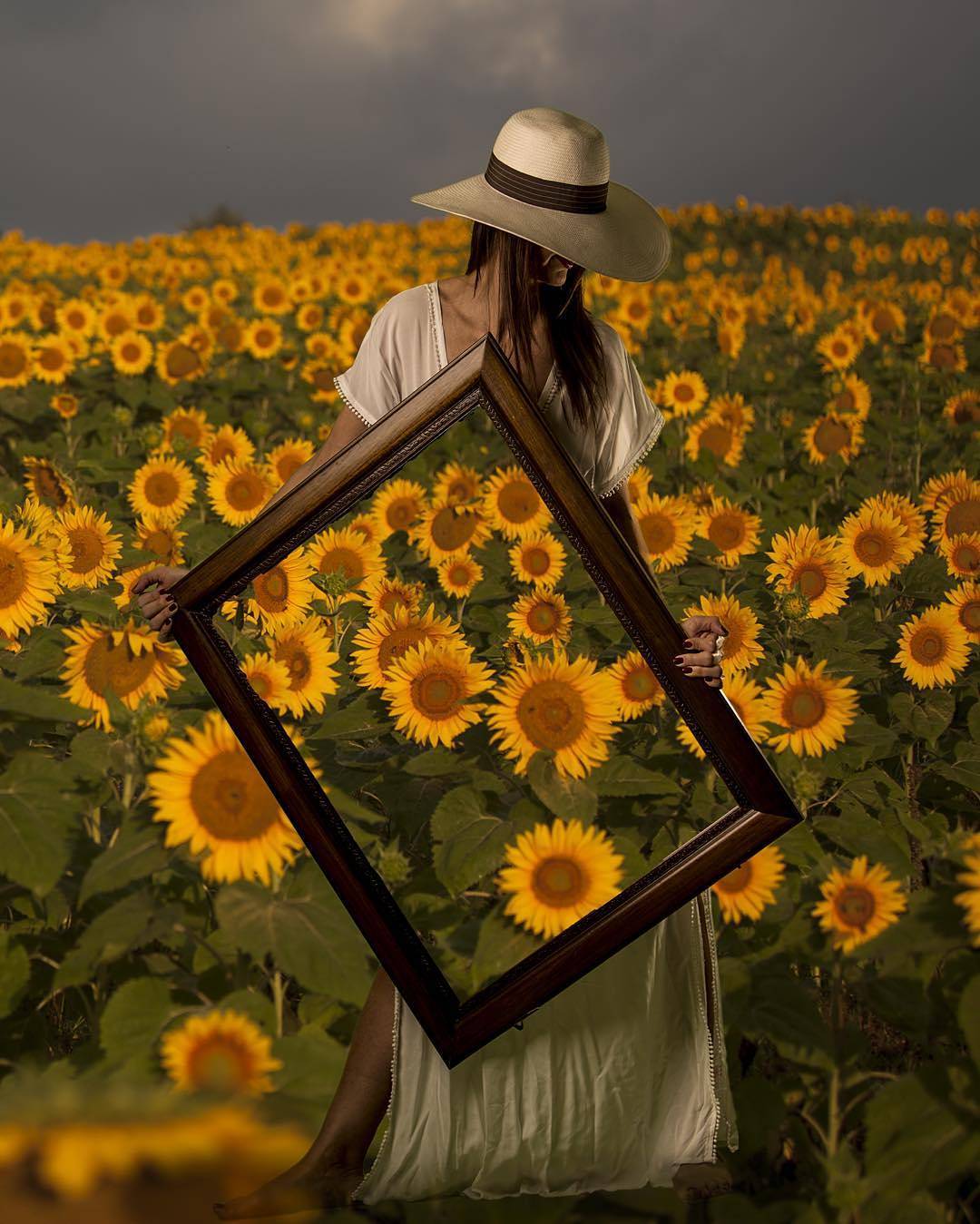 Фото Девушка в шляпе стоит в поле подсолнухов с картиной в руках с изображением цветов