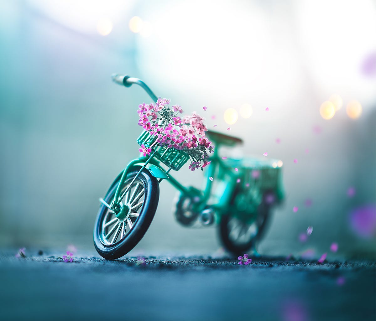 Фото Цветы на велосипеде, by Ashraful Arefin