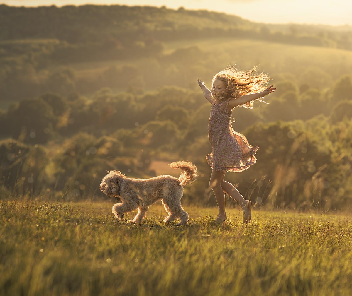 Фото Девочка с собакой гуляют на природе, фотограф Elena Shumilova