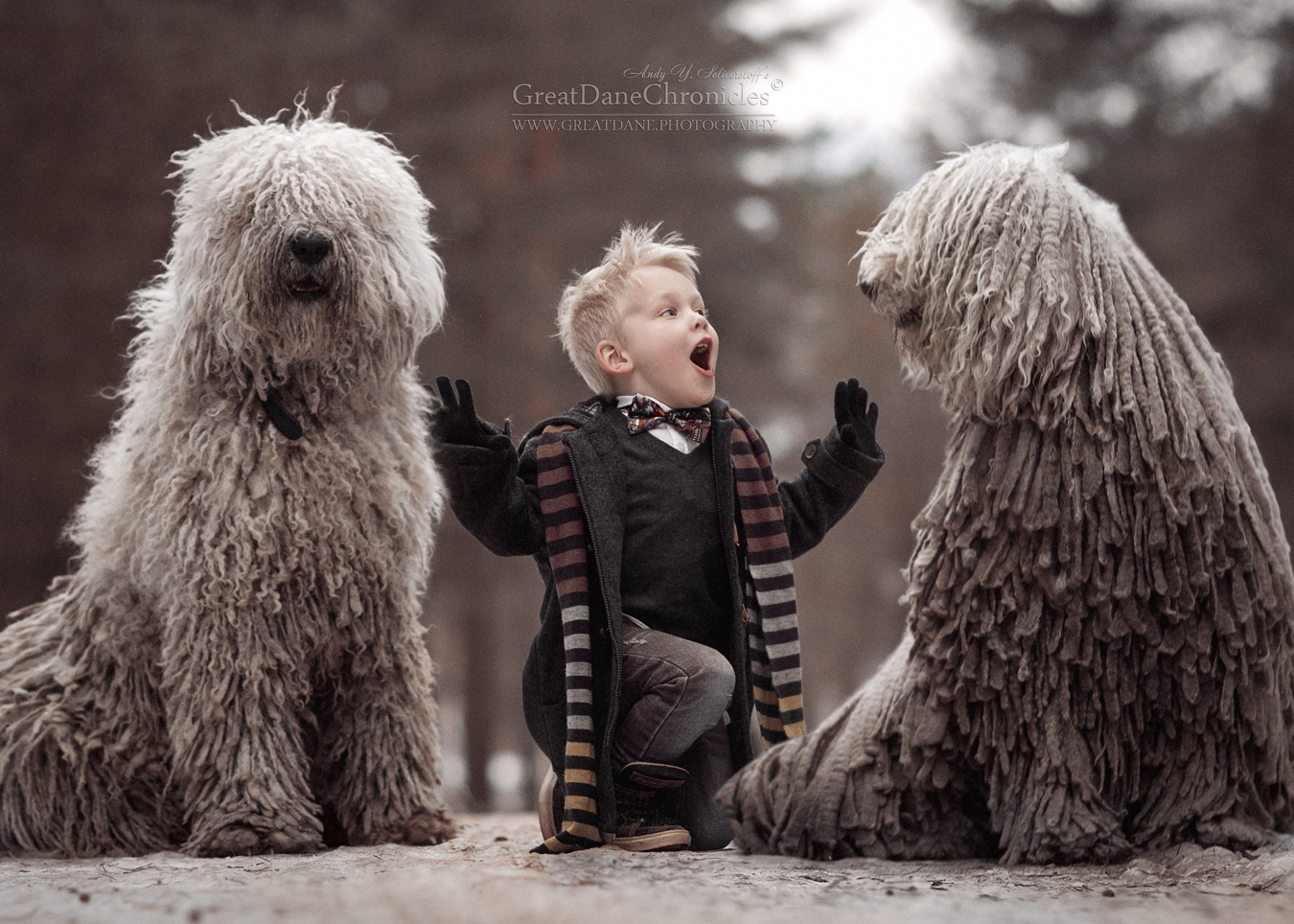 Фото Мальчик сидит между двумя комондорами, фотограф Андрей Селиверстов