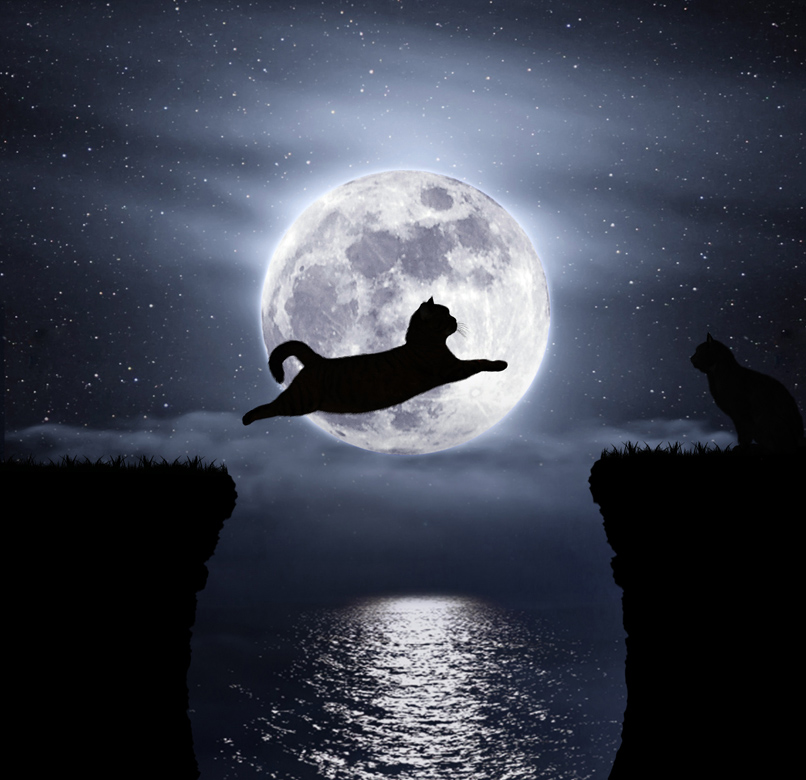 Фото Кот, на фоне звездного неба с полной луной, перепрыгивает с одного утеса на другой, фотограф Ирина Кузнецова