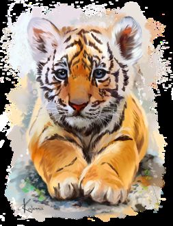 Красивый Тигр Фото Скачать Бесплатно