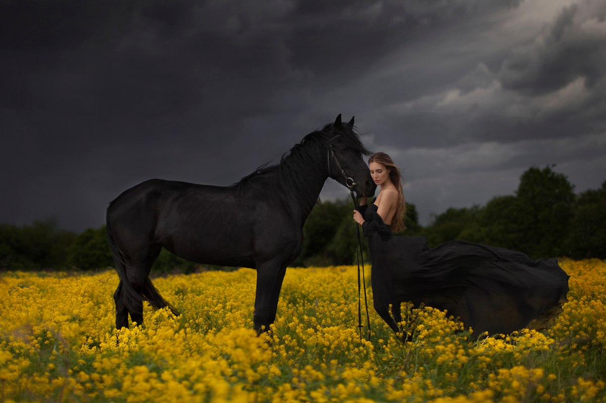 Фото Девушка с лошадью стоит в поле под мрачным небом, by Katerina Plotnikova