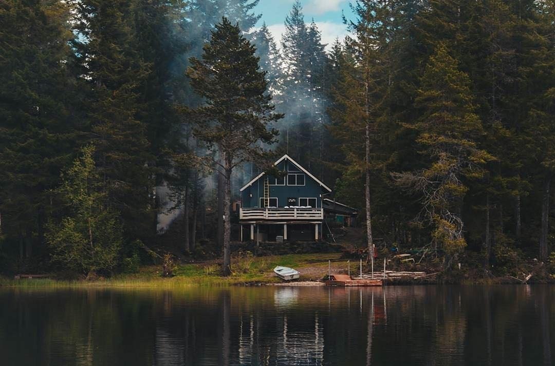 Красивый дом в лесу (55 фото)