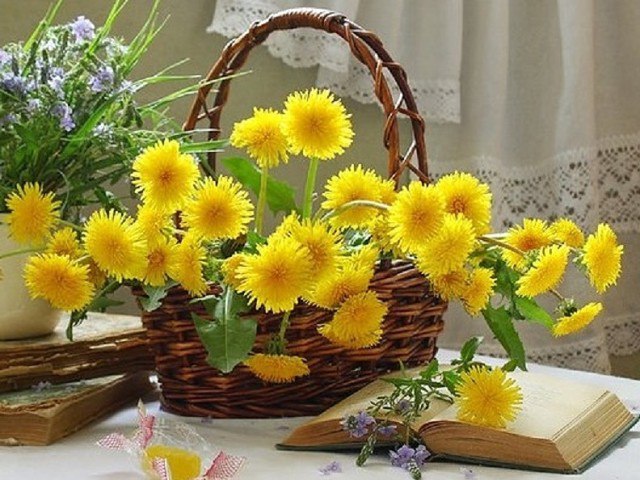 Фото Ярко-желтый букет одуванчиков в плетеной корзине на столе рядом с  открытой книгой