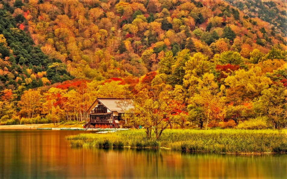 Осень На Берегу Реки Фото