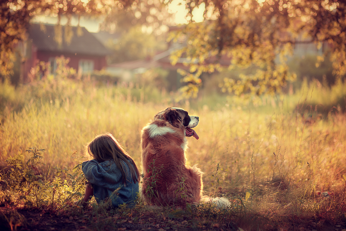 Фото Девочка и пес, отвернувшись друг от друга, сидят на земле. Фотограф Александра Черемохина