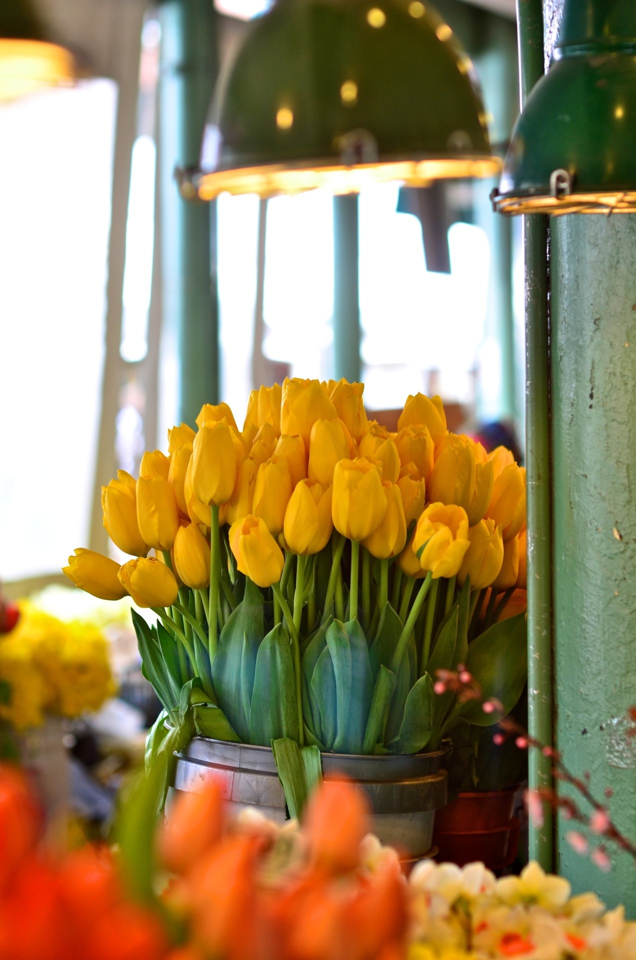 Тюльпаны на балконе зимой. Тюльпаны в интерьере. Желтые тюльпаны. Букет желтых тюльпанов. Букет тюльпанов в интерьере.