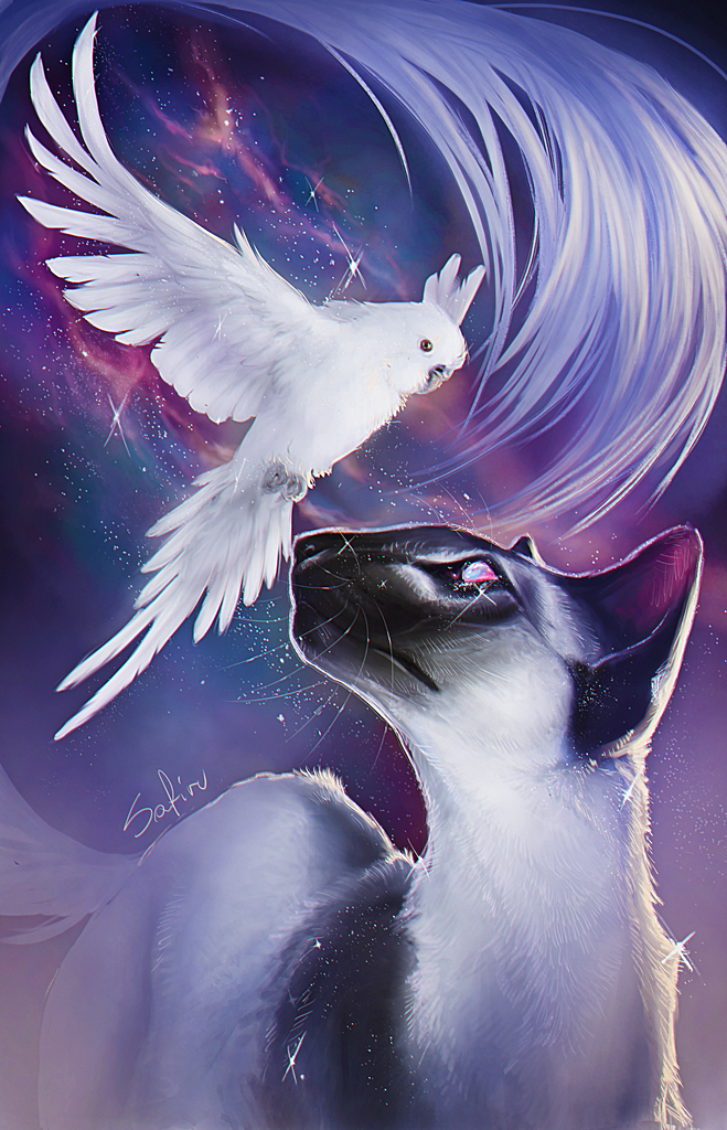 Фото Кошка и попугай на фоне космоса, by Safiru