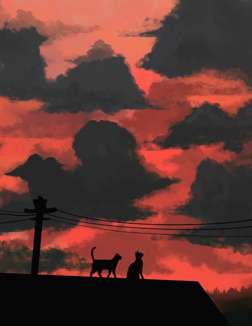 Фото Силуэты двух кошек на крыше на фоне закатного неба, by Daniel Ignacio