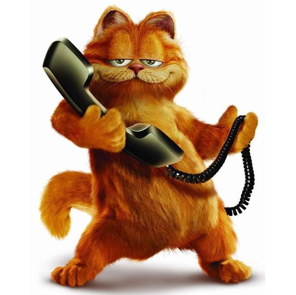 Фото Кот Garfield / Гарфилд из одноименного мультфильма
