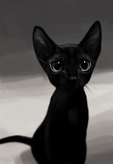 Фото Маленький черный котенок, by PaulDarkdraft