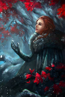 Фото Sansa Stark / Санса Старк из сериала Game Of Trones / Игра Престолов, by ValeryNeith