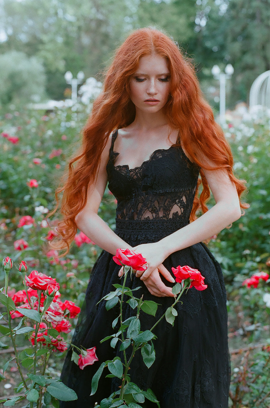 Фото Рыжеволосая девушка с опущенными глазами стоит среди кустов роз, фотограф Ekaterina Skobel