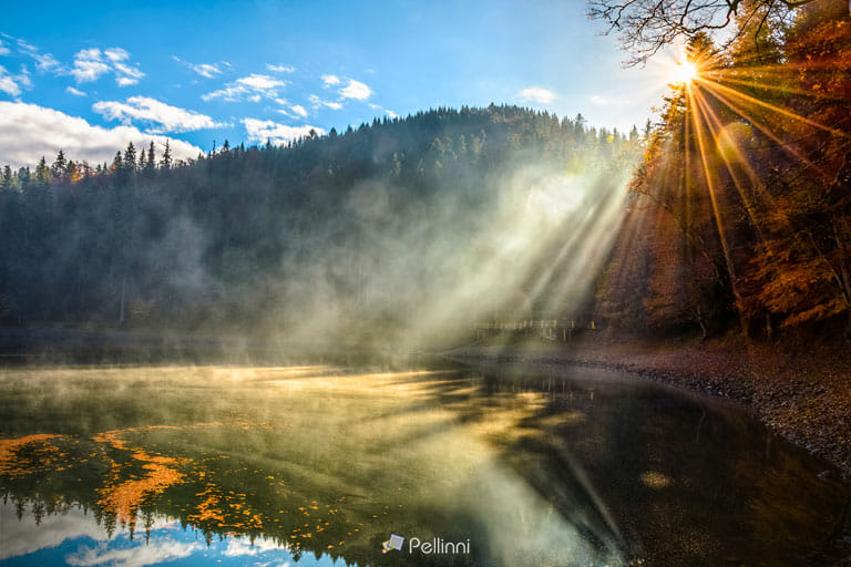 Фото Вид на кристально чистое озеро со скалистым берегом и дым на воде возле соснового леса в тумане у подножия горы на рассвете, фотограф Mike Pellinni