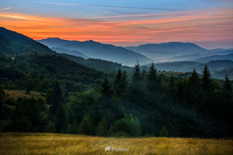 Фото Хвойный лес на крутом горном склоне в вечернее время, фотограф Mike Pellinni