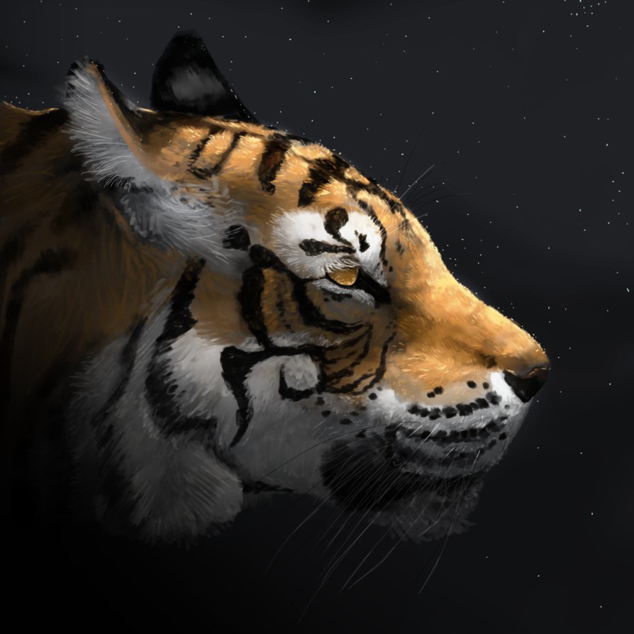 Фото Портрет тигра в профиль, by Noctualis