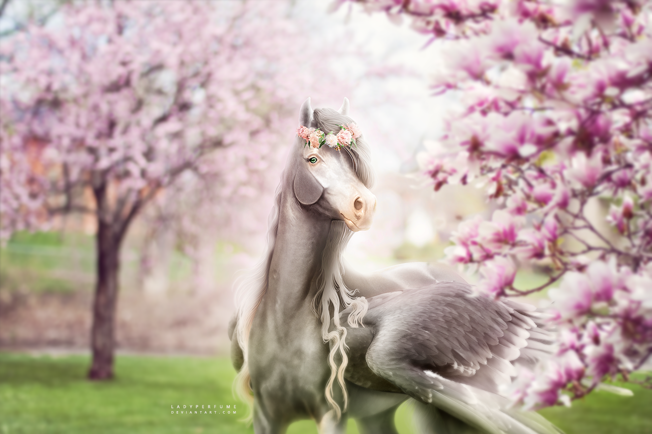 Фото Крылатая лошадь в веночке в саду магнолий, by Ladyperfume