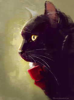 Фото Черная кошка с бантом на шее, by Meorow