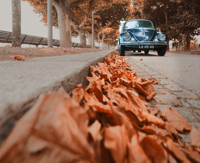 Фото Возле Машины Осенью