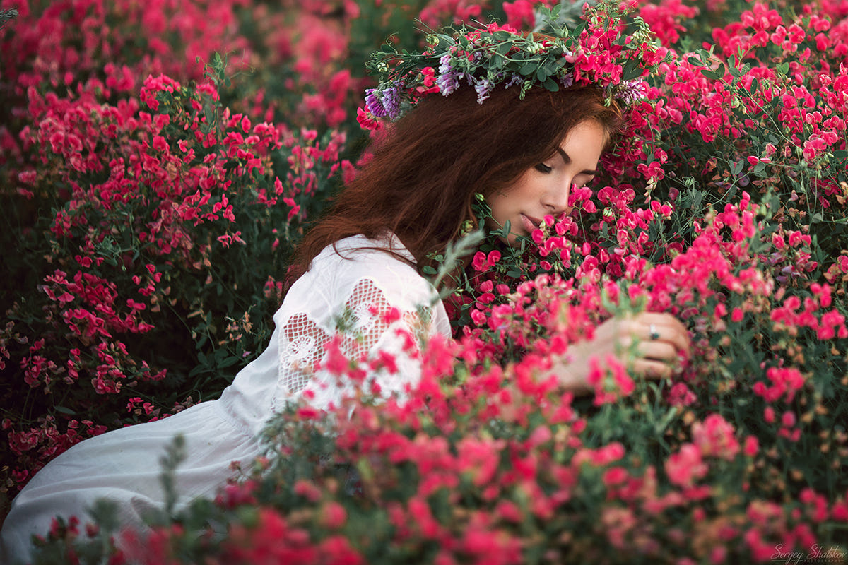 Лето в полевых цветах, фотограф Sergey Shatskov
