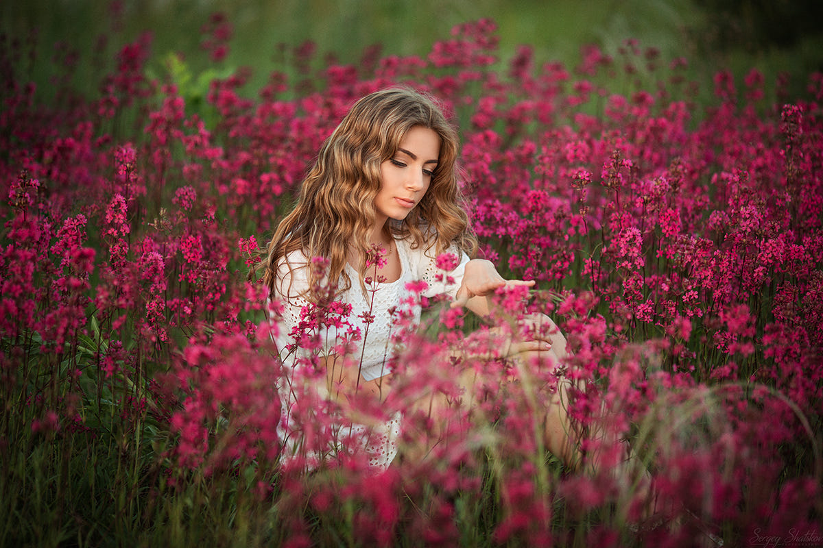  Девушка сидит среди полевых цветов, фотограф Sergey Shatskov