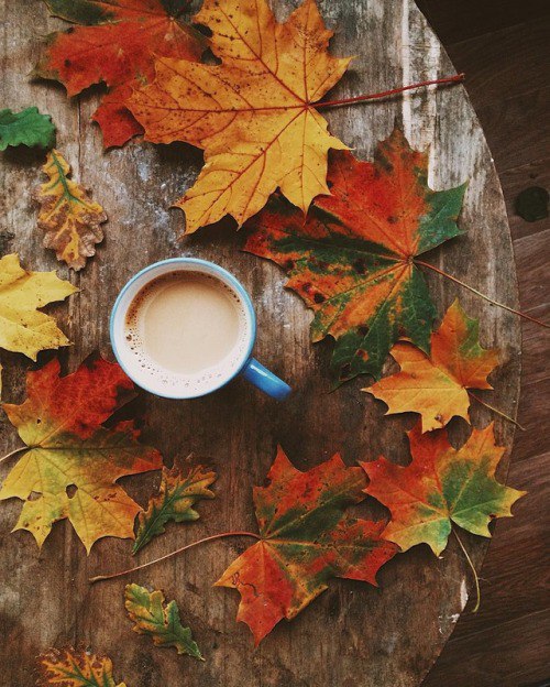 Фото Чашка кофе со сливками на столе рядом лежат осенние листья