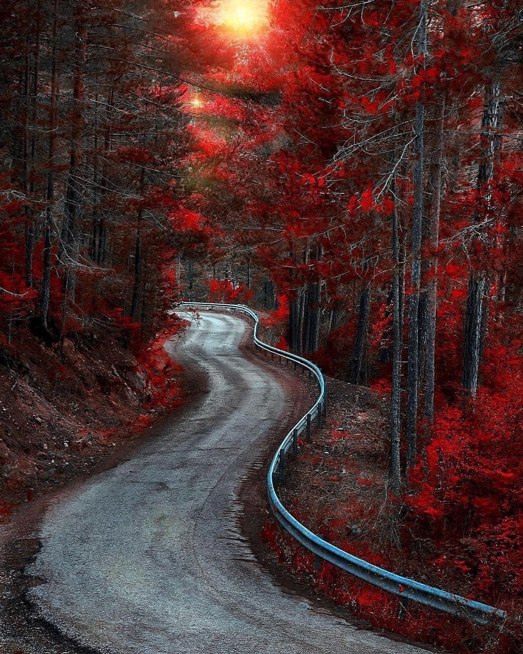 Красная дорога фото