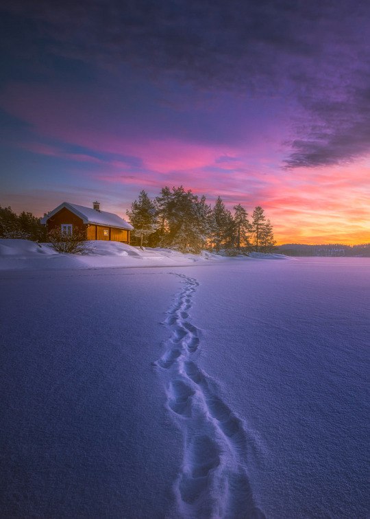 Фото Следы на снегу, ведущие к дому, фотограф Ole Henrik Skjelstad