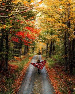 Брюнетка В Осеннем Лесу Фото Со Спины