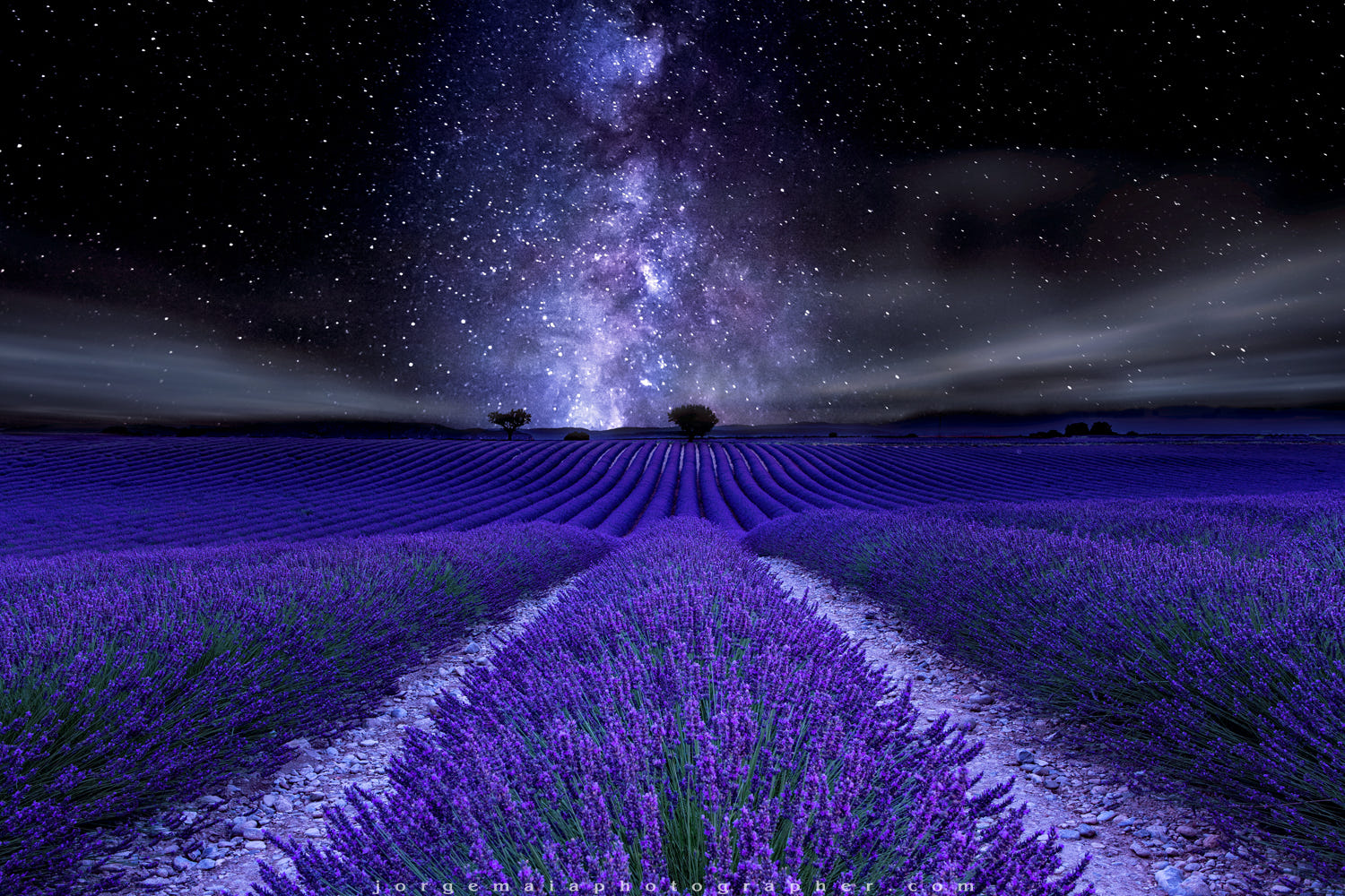 Цветная ночь. Фиолетовое поле. Лавандовое поле. Поле с фиолетовыми цветами. Лавандовое поле ночью.