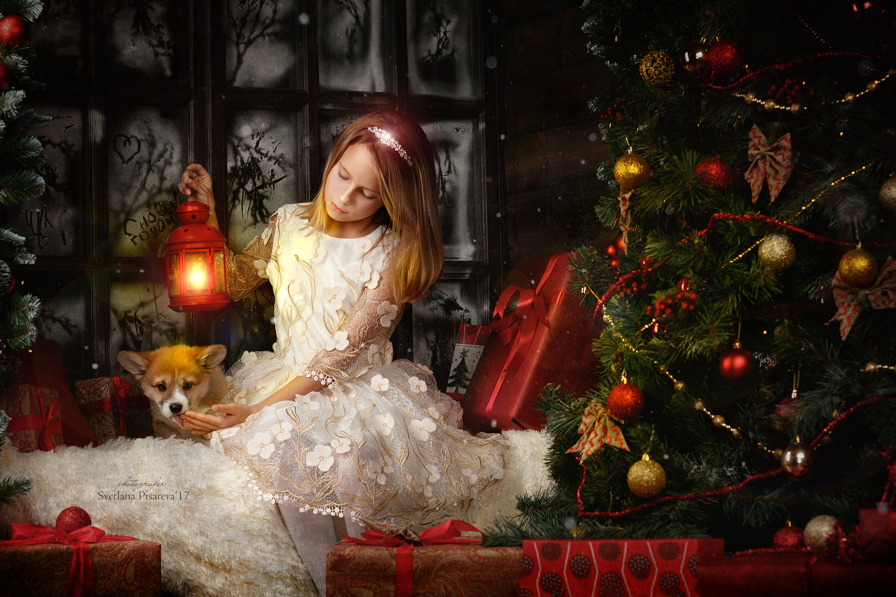 Фото Девочка, с фонарем в руке и щенком хаски рядом с ней, сидит около елки и подарков. Фотограф Светлана Писарева