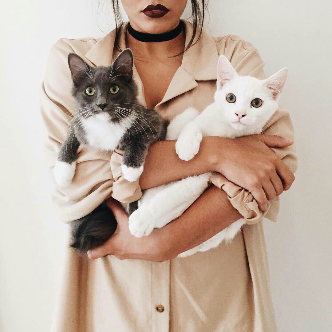 Фото Девушка держит на руках двух кошек